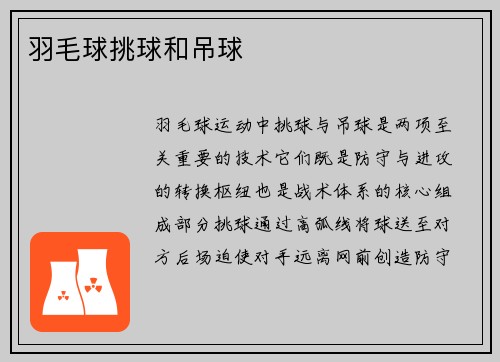 羽毛球挑球和吊球