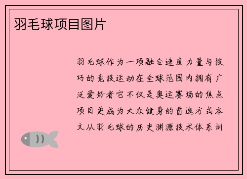 羽毛球项目图片